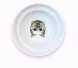 Soporte Protector de Espina para Cuencos de Comida y Agua para Gatos